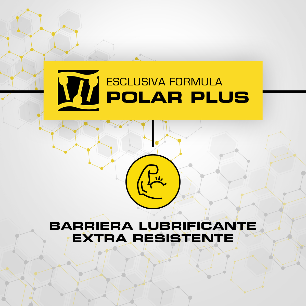 BARDAHL XTA 5W30 C3 C4 polarplus SYNTETHIC OIL X BMW LONGLIFE LT 1 OLIO  MOTORE - Ricambi Auto GAutopartsProdotto